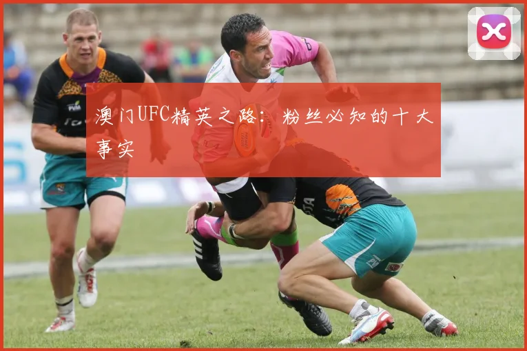 澳门UFC精英之路：粉丝必知的十大事实