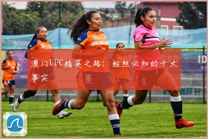 澳门UFC精英之路:粉丝必知的十大事实