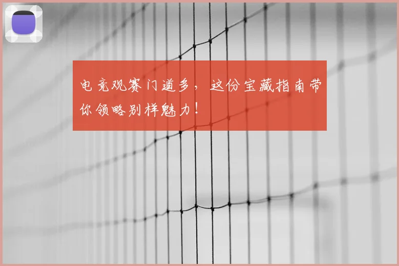电竞观赛门道多,这份宝藏指南带你领略别样魅力!