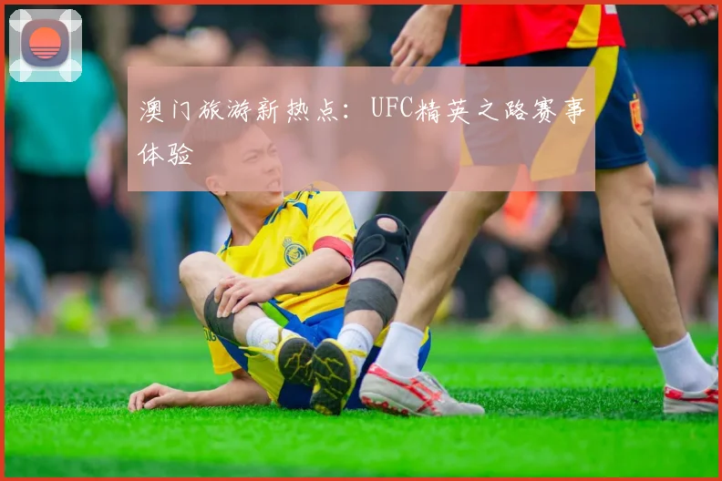澳门旅游新热点：UFC精英之路赛事体验