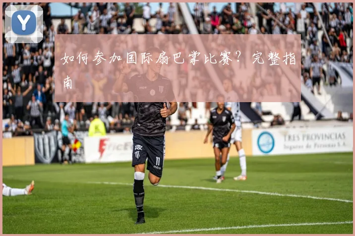 如何参加国际扇巴掌比赛？完整指南