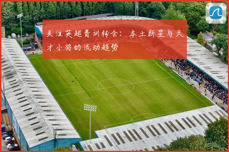 关注英超青训转会:本土新星与天才小将的流动趋势