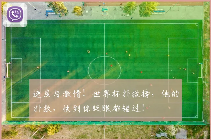速度与激情!世界杯扑救榜,他的扑救,快到你眨眼都错过!