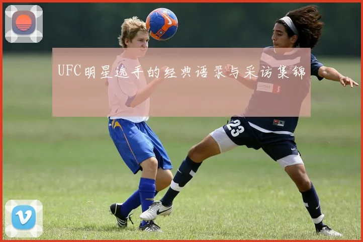 UFC明星选手的经典语录与采访集锦
