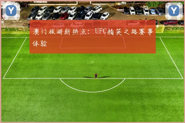 澳门旅游新热点：UFC精英之路赛事体验