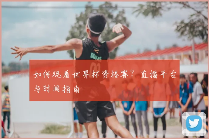 如何观看世界杯资格赛?直播平台与时间指南