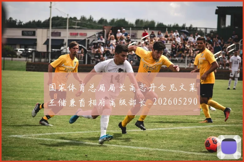 国家体育总局局长高志丹会见文莱王储兼首相府高级部长_20260529041746