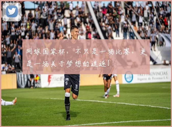 网球国家杯,不只是一场比赛,更是一场关于梦想的追逐!